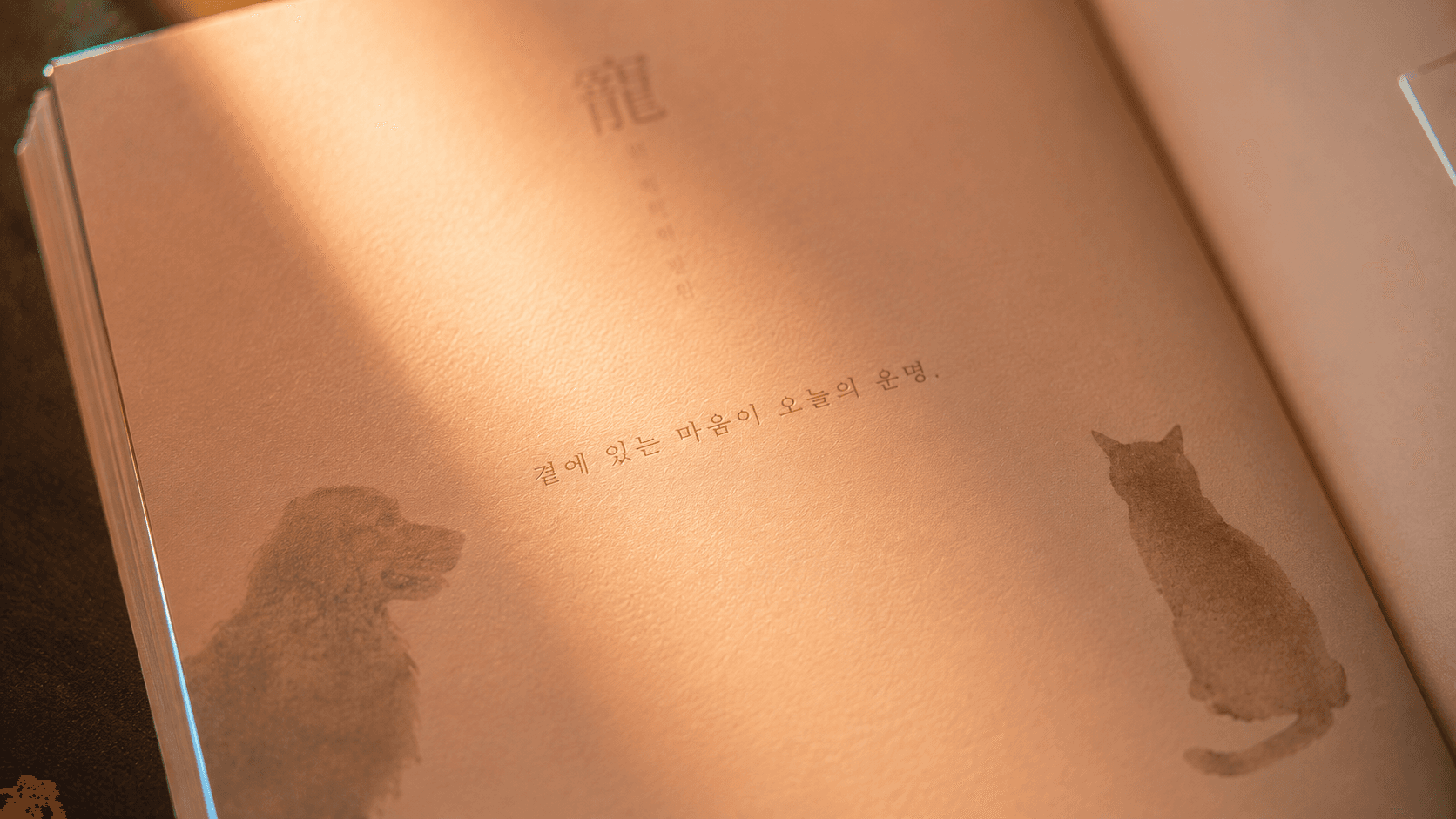 Companion AI · pet